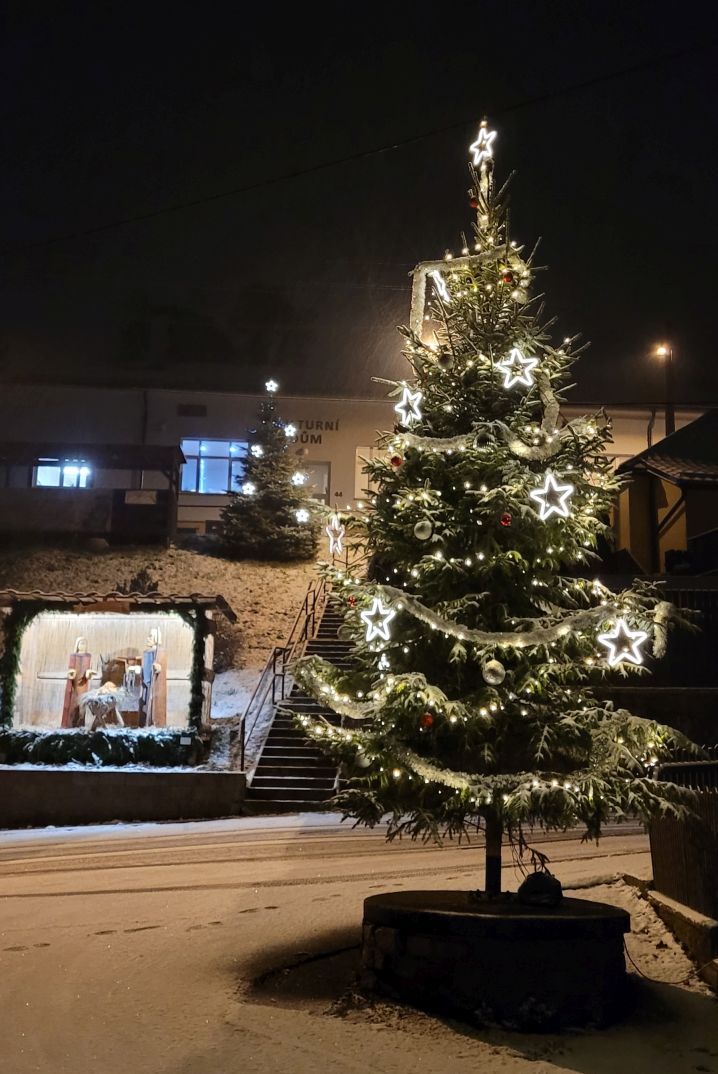 Rozsvícení vánočního stromu a jesliček