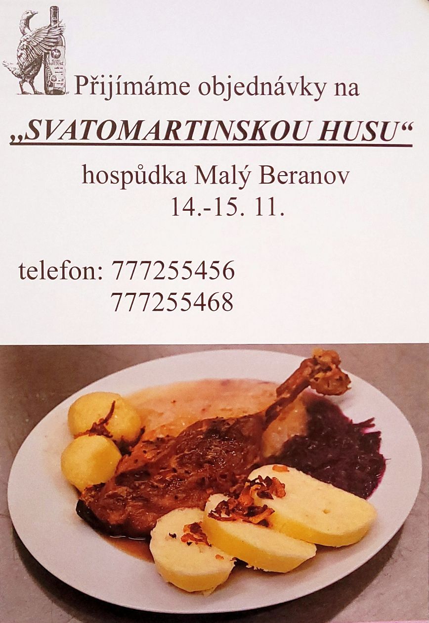 Svatomartinská husa